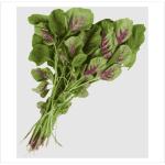 Khasiat Bayam untuk Kesehatan yang Luar Biasa