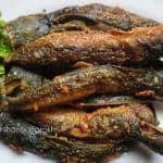 Kandungan Nutrisi dan Manfaat Ikan Lele untuk Kesehatan