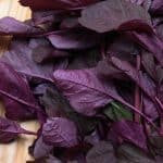 12 Manfaat Bayam Merah untuk Kesehatan