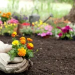 ilmu pengetahuan soal tumbuhan